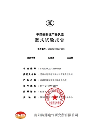 CN2020C2312-003121芜湖市旭辉电工新材料有限责任公司（报告）高温