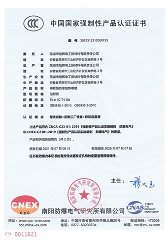 2021312312000133---串联