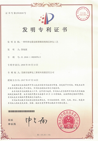 发明专利201600