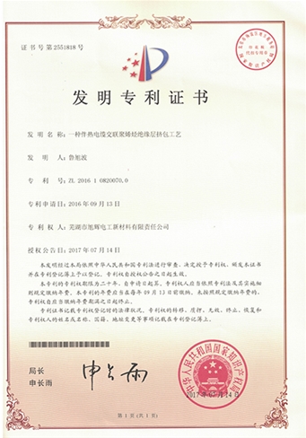 发明专利2016